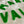 Load image into Gallery viewer, Mens Raglan Fleece White x Grass Green applique