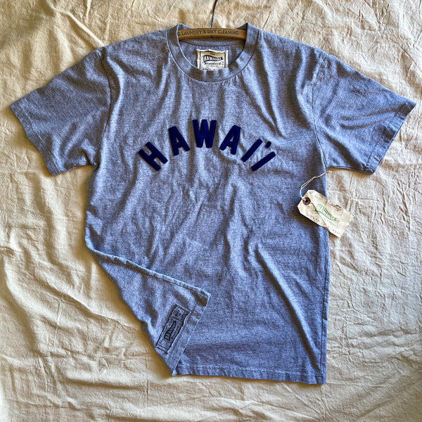 Mens T-Shirt in Heather Grey x Hawai`i applique